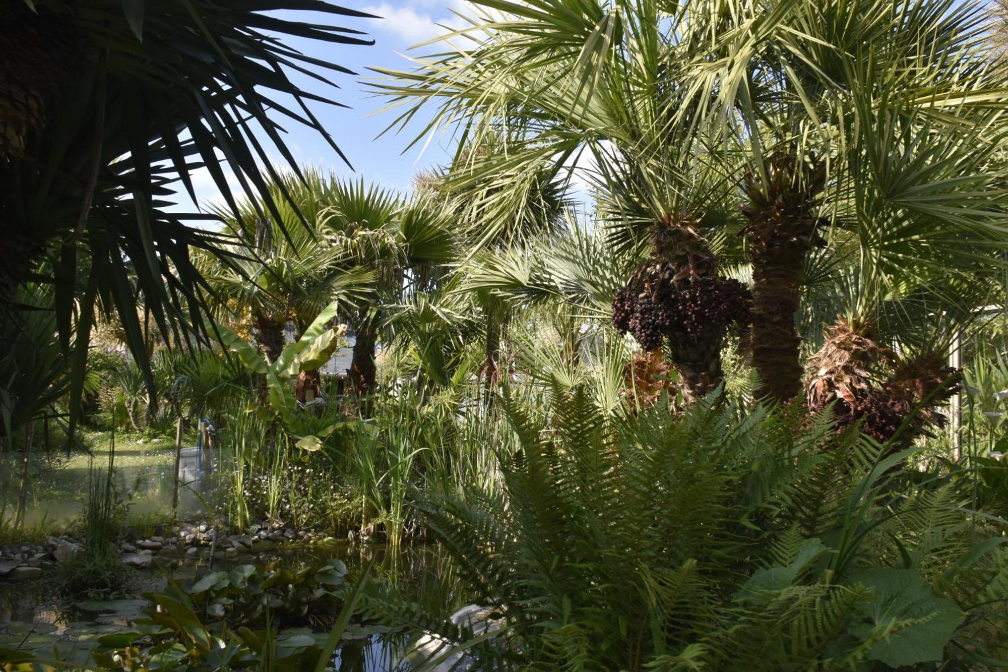 Ferienhaus Rose Des Vents - Jardin Et Parking *